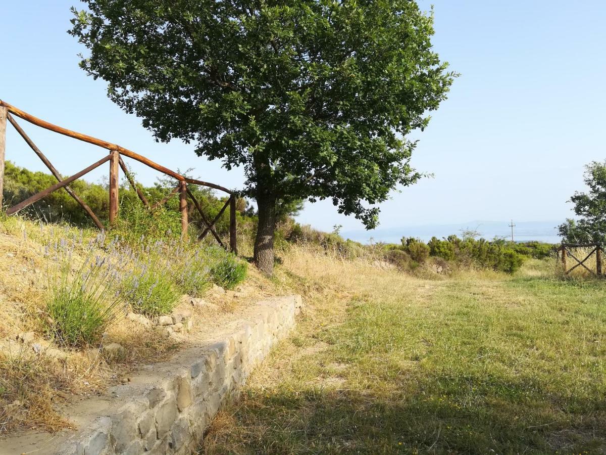 La Casa Gialla Belvedere 哥尔顿 外观 照片